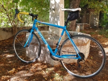 Gitane Gtn 200